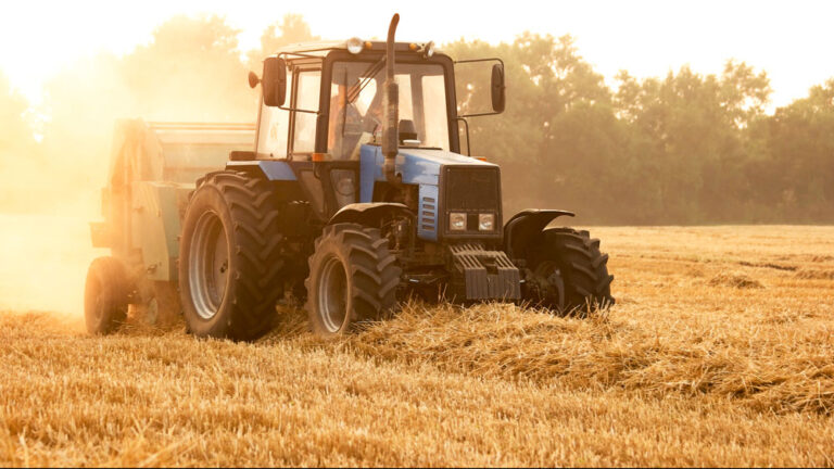 Traktor mit Anhänger im Sommer auf einem Feld. Ernte der Weizenernte.